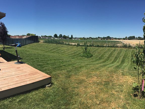 Back yard