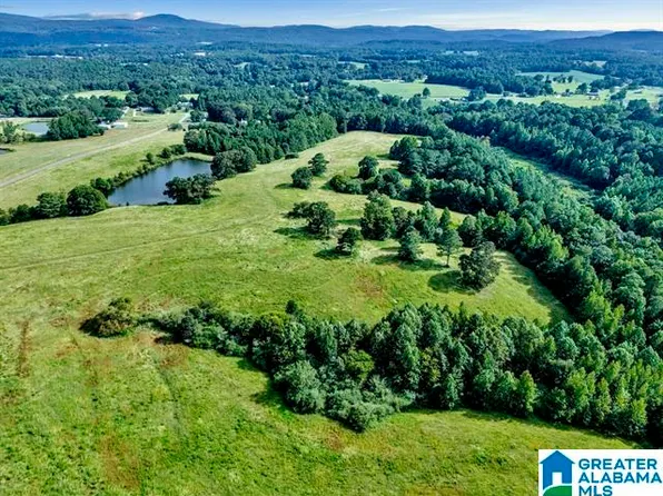 377 County Road 543 #0, Hanceville, AL 35077