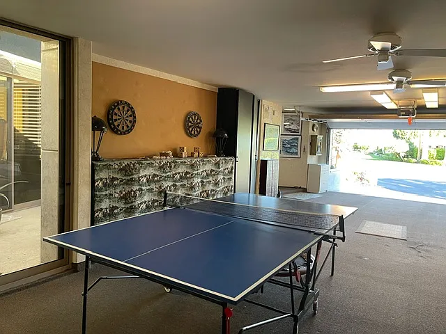 Fun games in the 3 car
garage