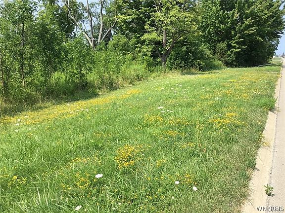 3rd image of 8996 Erie Rd #9