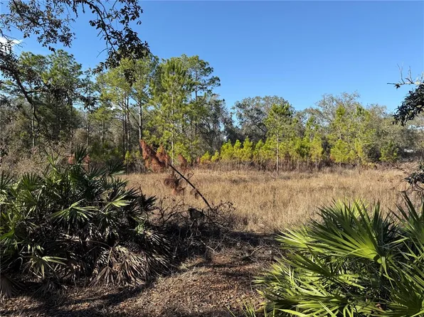 Tworut Rd Lot 4, Webster, FL 33597