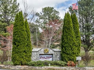 53 Goose Island Rd, Cherry Log, GA 30522