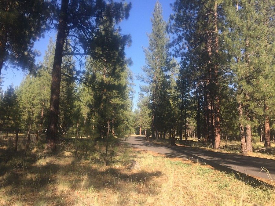 2nd image of 14505 Crossroads Loop