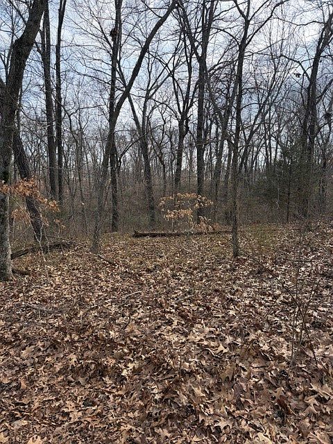 2nd image of Bankfoot Ln #8