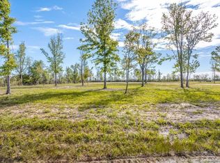 166 Papania Rd, Ragley, LA 70657