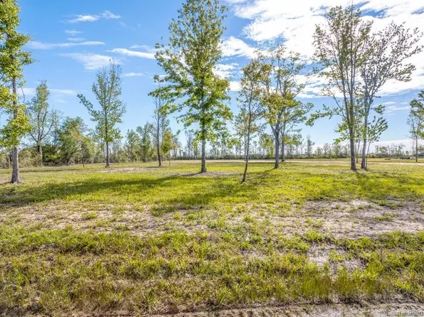 166 Papania Rd, Ragley, LA 70657