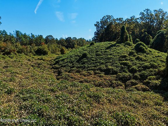 5th image of Stinson Rd
