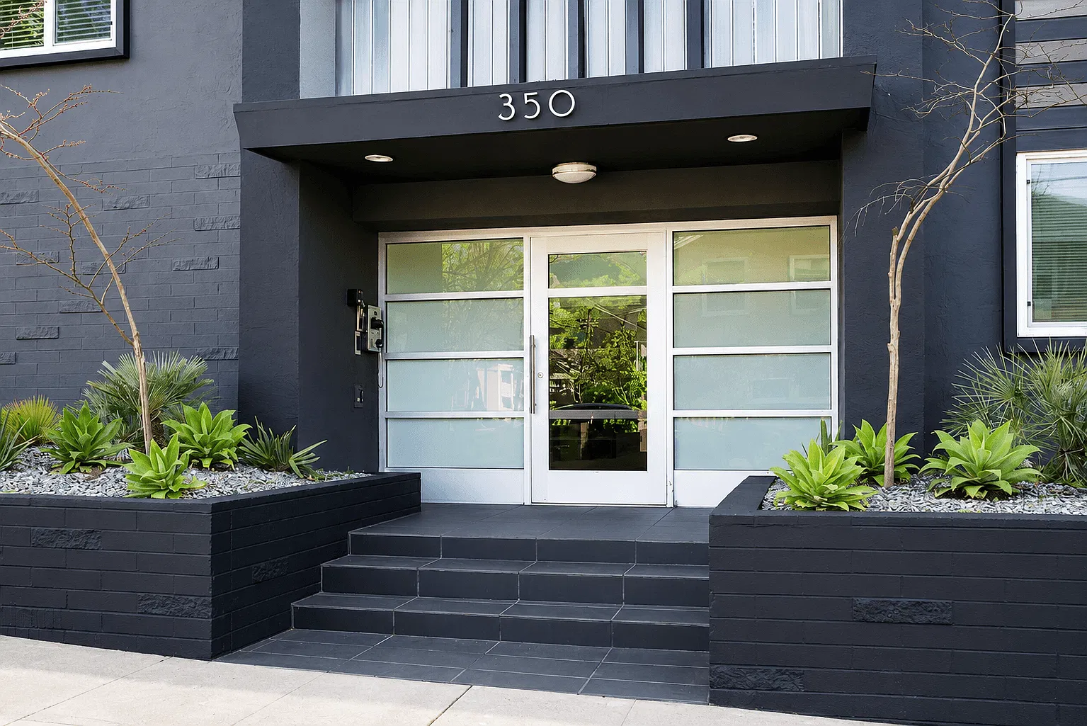 New Haus — Photo 3