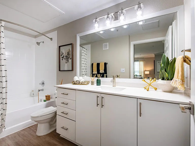 Newly Renovated Bathroom