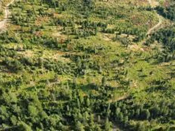 4802-4520 Blake Creek Rd, Saint Maries, ID 83861