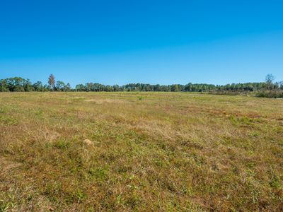 Flowersview Blvd, Laurel Hill, FL, 32567