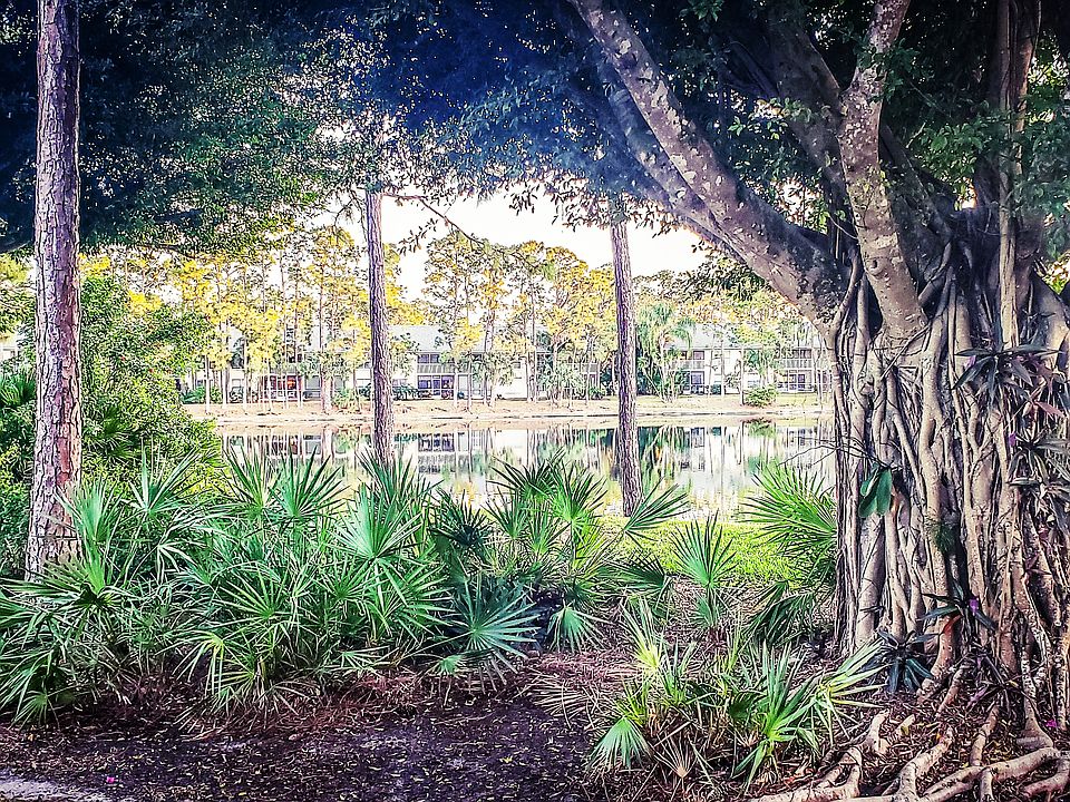 The view from the lanai