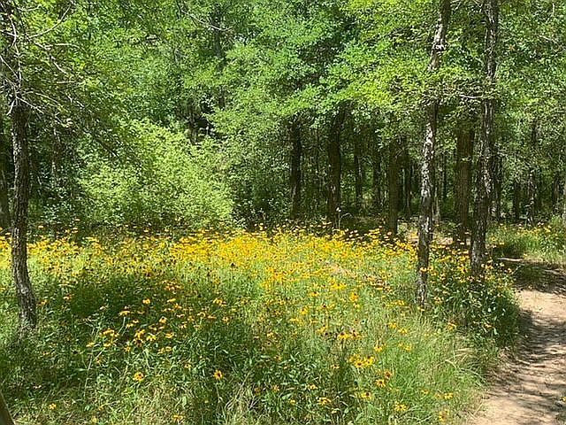 1st image of 3952 County Road 258