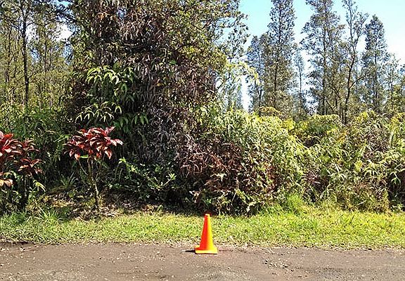 Approx middle of lot 3563
