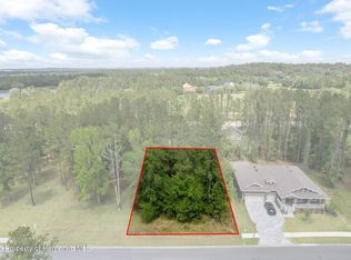 5426 Crown Peak Ct, Brooksville, FL 34601