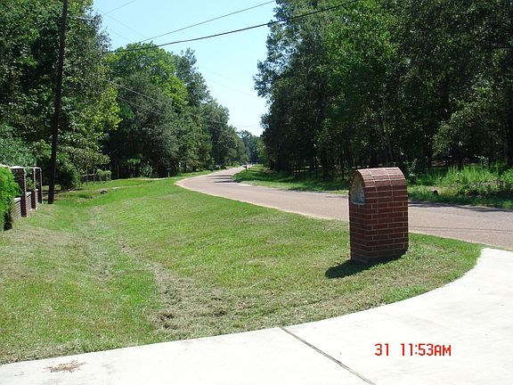 View to Left Side of Street