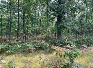 0 Koenig Rd, Free Soil, MI 49411