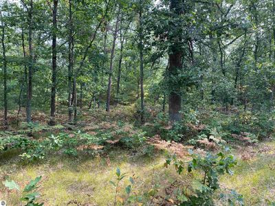 0 Koenig Rd, Free Soil, MI, 49411