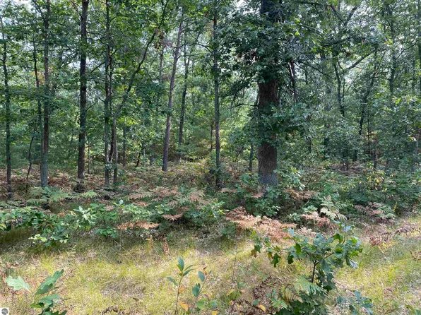 0 Koenig Rd, Free Soil, MI 49411