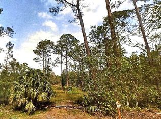 S Us Highway 17 LOT 120, Pierson, FL 32180
