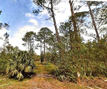 S Us Highway 17 LOT 120, Pierson, FL, 32180