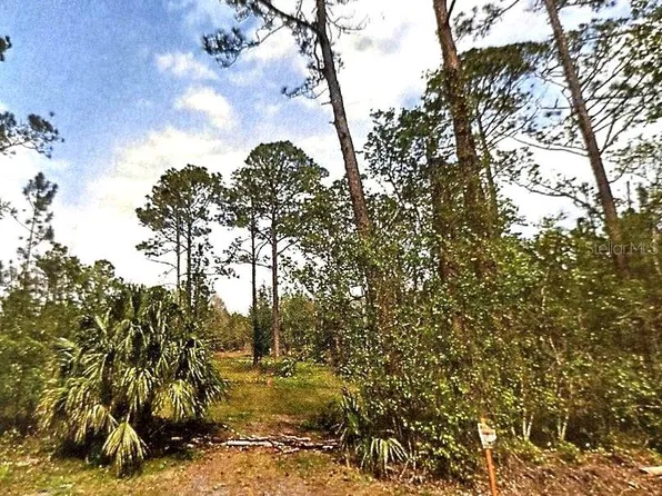S Us Highway 17 Lot 120, Pierson, FL 32180