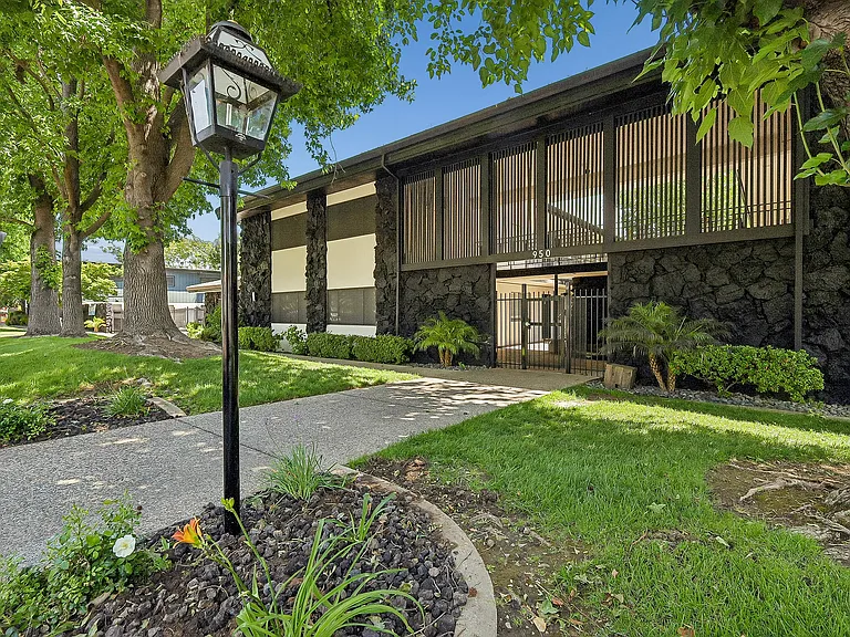 ReNew Arden — Photo 42