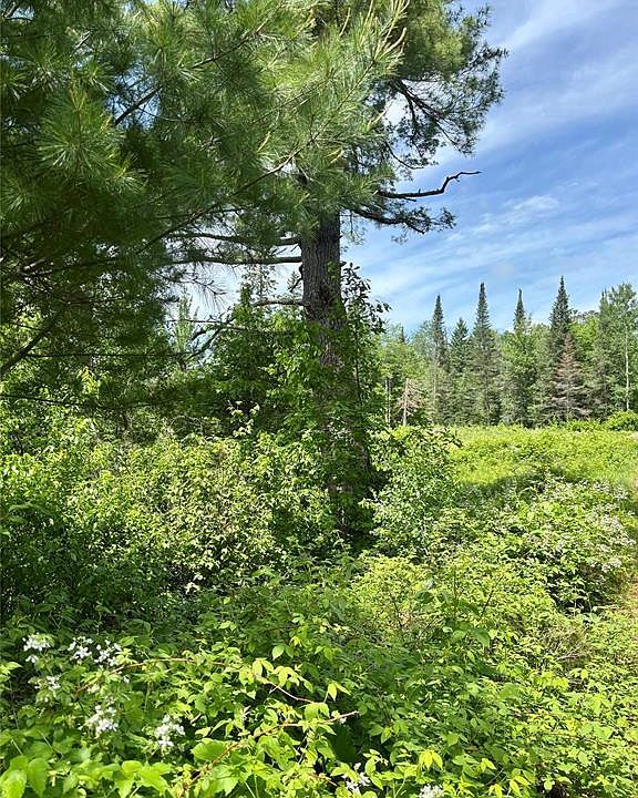 1st image of 16550 W Ridgerock Road