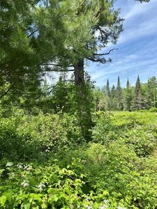 16550 W Ridgerock Road, Hayward, WI, 54843