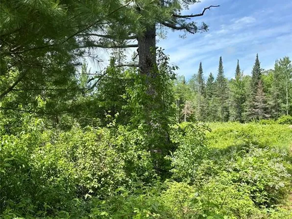 16550 W Ridgerock Road, Hayward, WI 54843