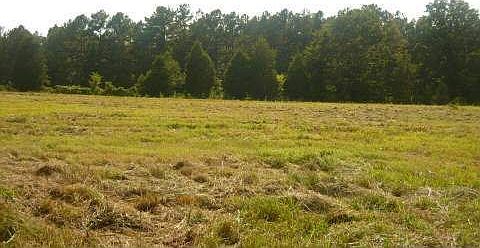 2nd image of 103 Martin Mill Dr
