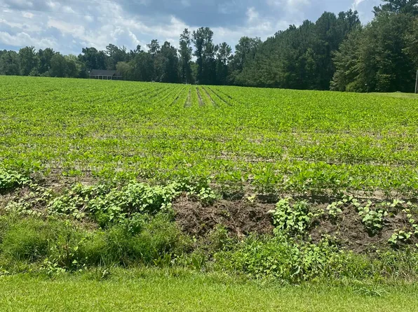 Near 2459 Peanut Worley Road, Cerro Gordo, NC 28430