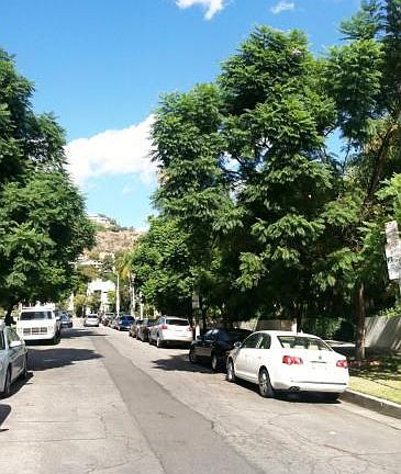 2nd image of 1520 N Hayworth Ave APT 2