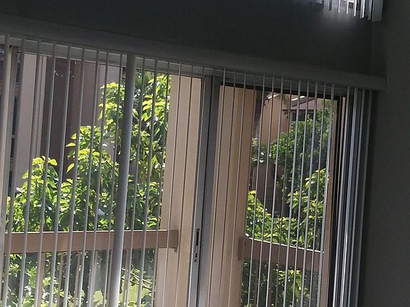 5th image of 556 Orange Dr APT 21