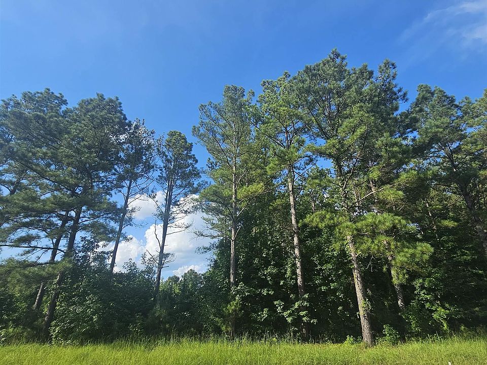 2nd image of 101 Robinson Pond Rd #101