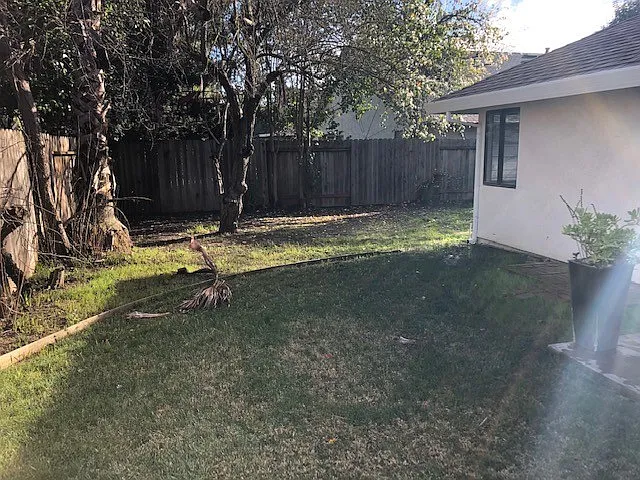 1236 Evans Ct — Photo 11