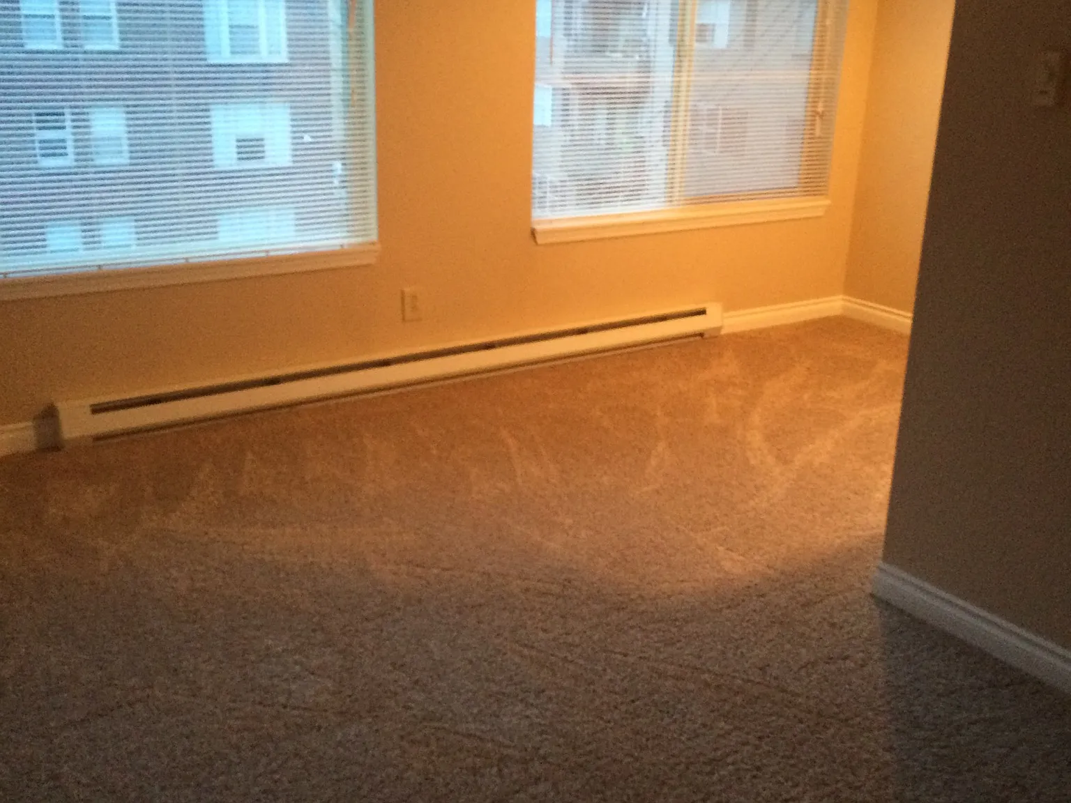 1 bed, 540 sqft, $1,345 — Photo 2