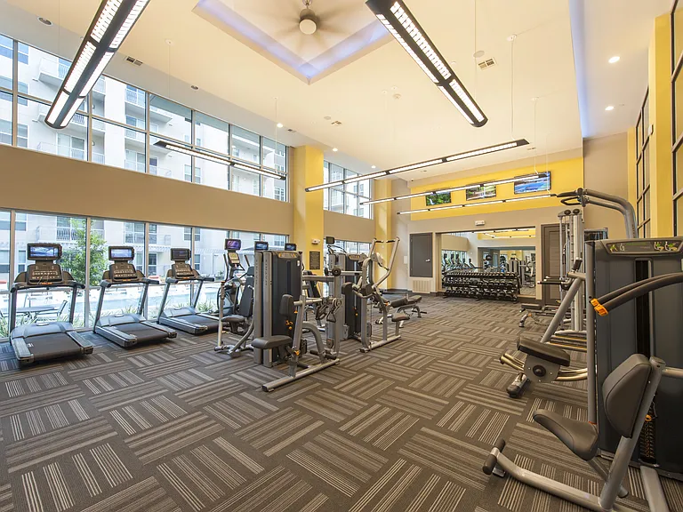 Modern Exercise Studio
