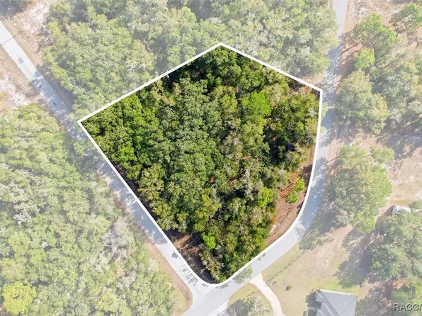 9659 N Cacalia Dr, Crystal River, FL 34428