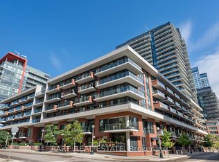 38 Iannuzzi St #528, Toronto, ON M5V0A2