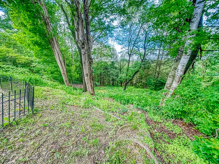 140 Ridgewood Rd #BASEMENT — Photo 12