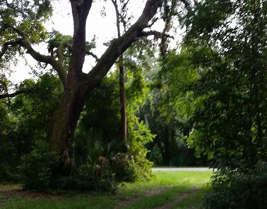 1st image of 1209 N Us Highway 17