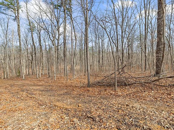 5th image of 8283 Bear Paw Trl #107