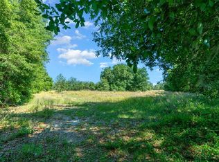 9830 SE 176th Court Rd, Ocklawaha, FL 32179