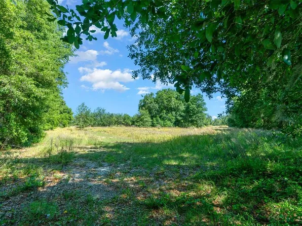 9830 SE 176TH CT RD, OCKLAWAHA, FL 32179