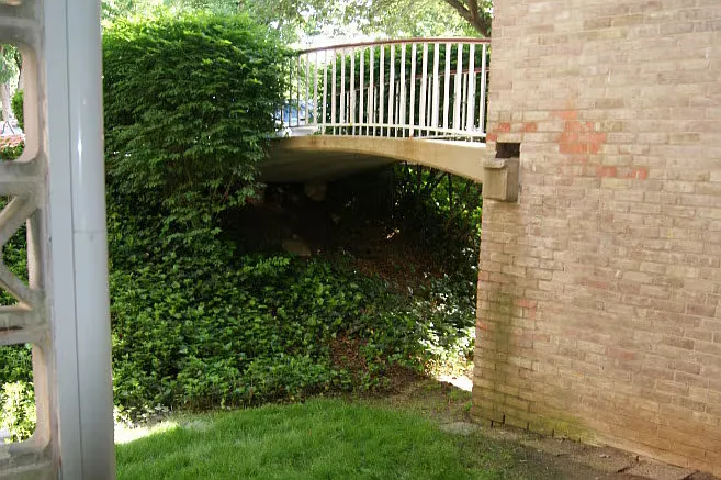 7527 Spring Lake Dr #B2 — Photo 3