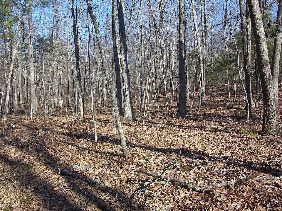 2nd image of 300 Cranberry Bog Road
