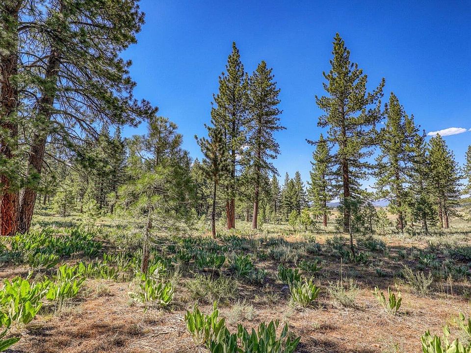 1st image of 7455 Lahontan Dr