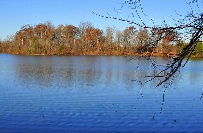 View of Lake from Dock