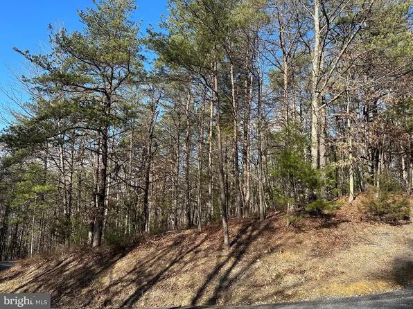 222 Beaver Ln, Mount Jackson, VA 22842